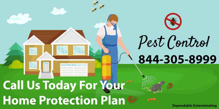 Annual Home Protection Plan