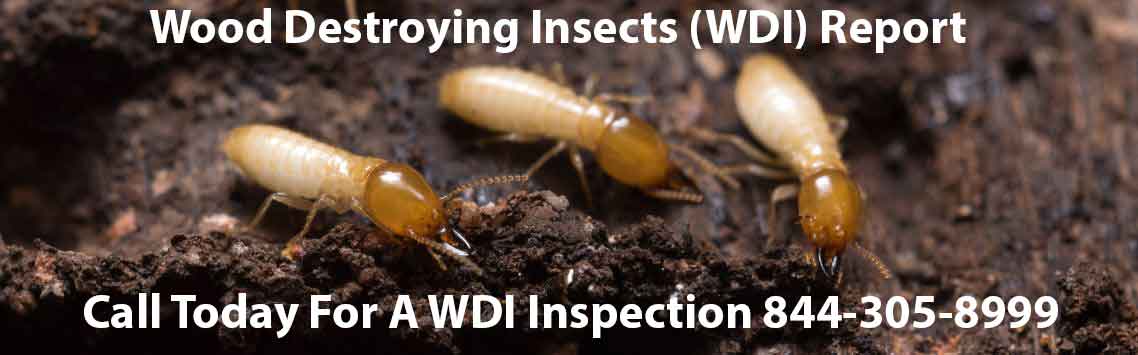 WDI Inspections