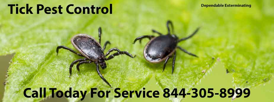 Tick Control