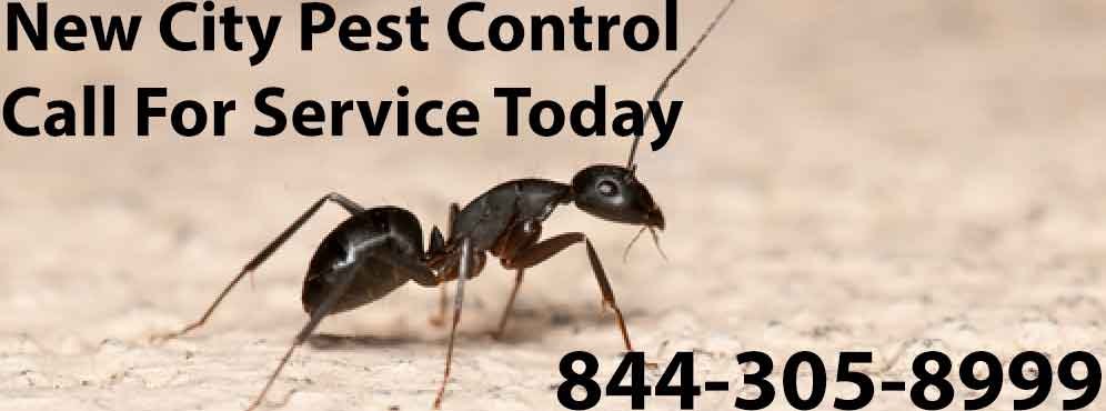 New City Pest Control