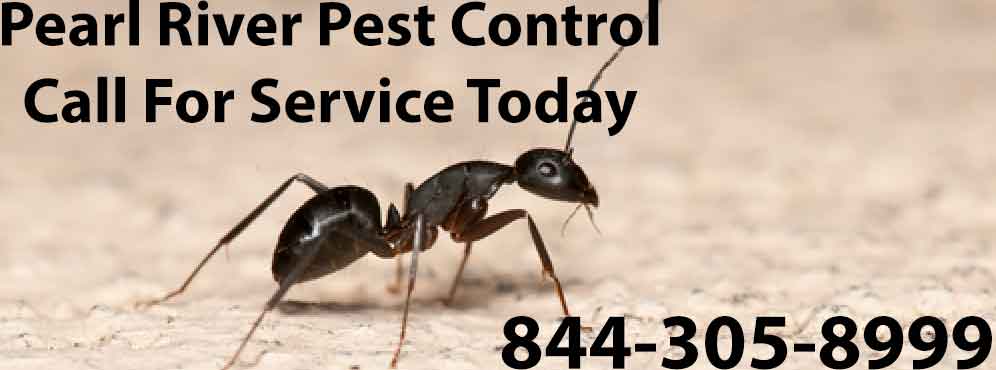 Pearl River Pest Control