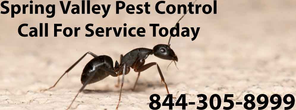 Spring Valley Pest Control