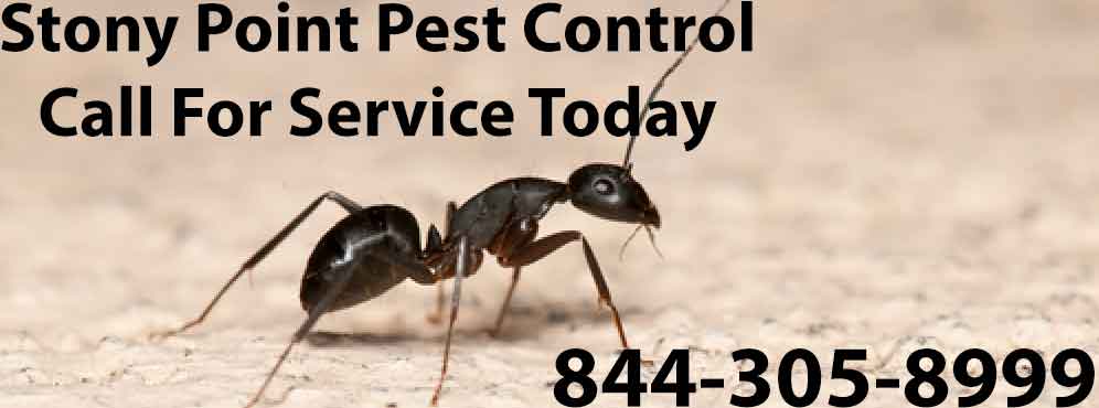 Stony Point Pest Control