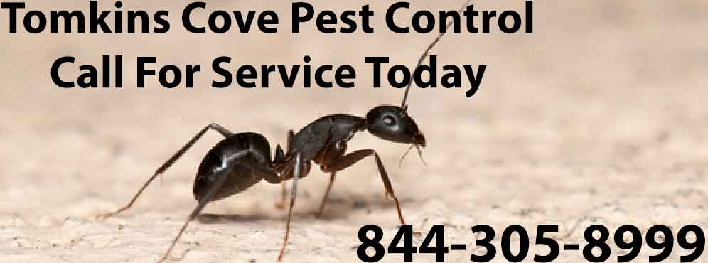 Tomkins Cove Pest Control