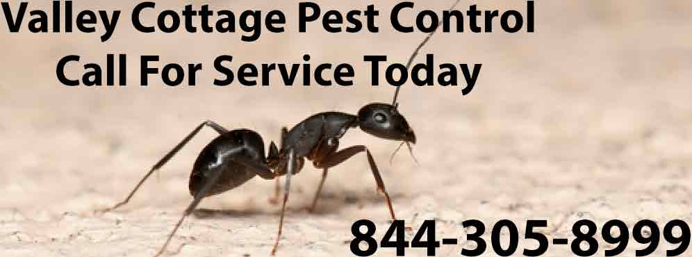 Valley Cottage Pest Control