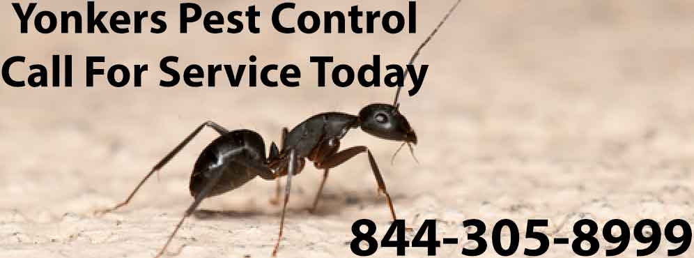 Yonkers Pest Control