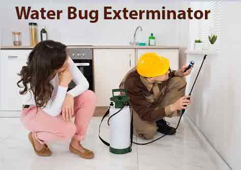 Water Bug Exterminator