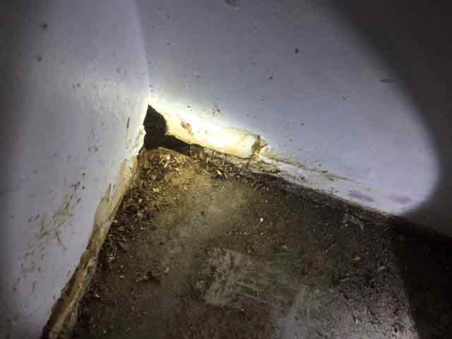 Mouse Hole In Wall