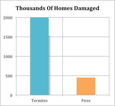 Termite Damage