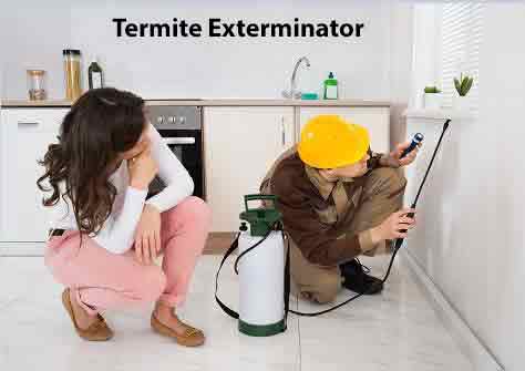 Termite Exterminator