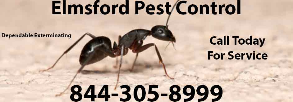 Elmsford Pest Control