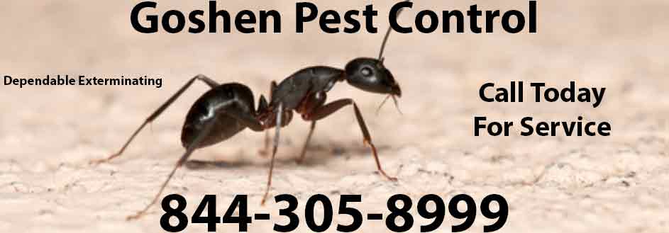 Goshen Pest Control