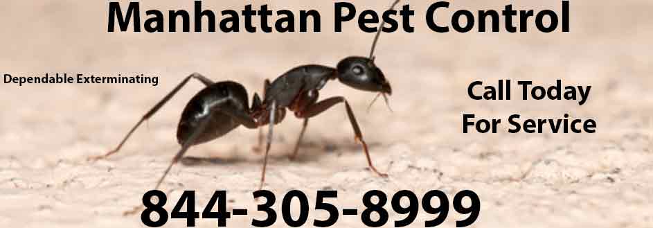 Manhattan Pest Control