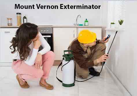 Mount Vernon Exterminator