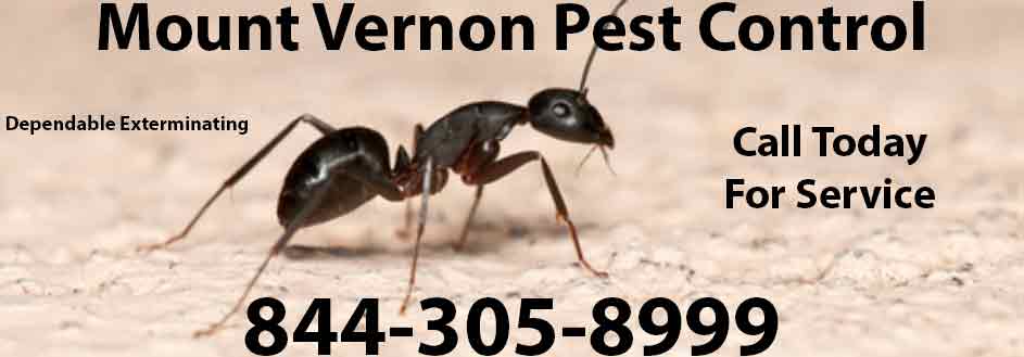 Mount Vernon Pest Control