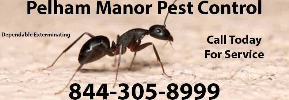 Pelham Manor Pest Control