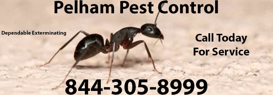 Pelham Pest Control