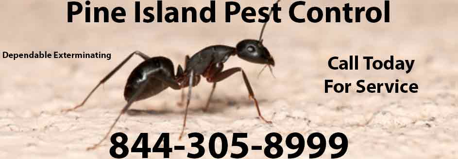 Pine Island Pest Control