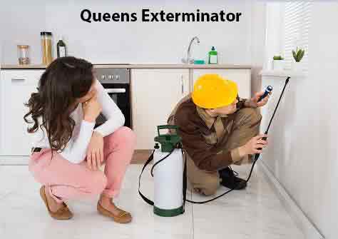 Queens Exterminator