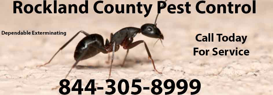 Rockland County Pest Control