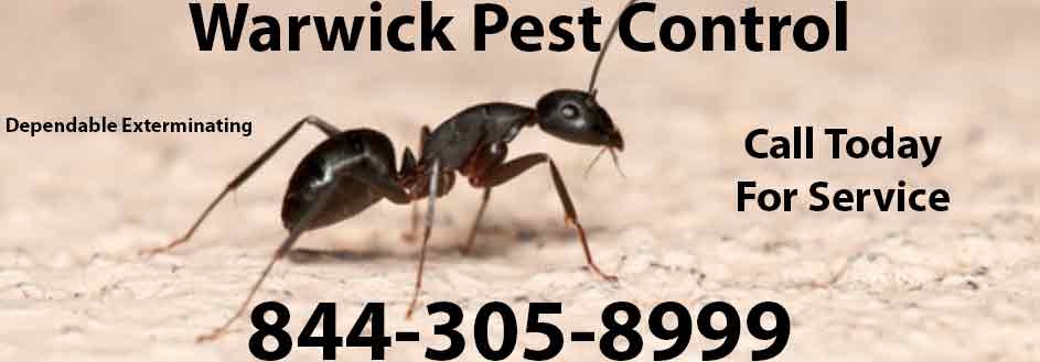 Warwick Pest Control